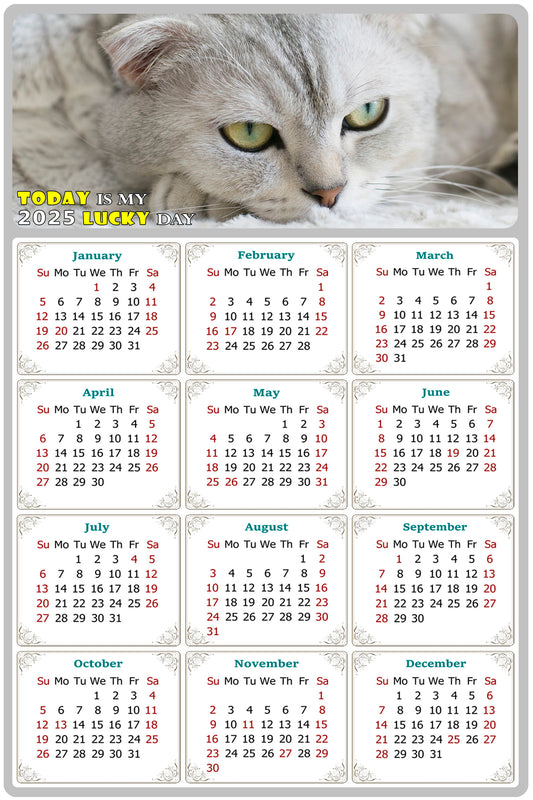 2025 Peel & Stick Calendar - Today is my Lucky Day Removable - Cat 01 (9"x 6")