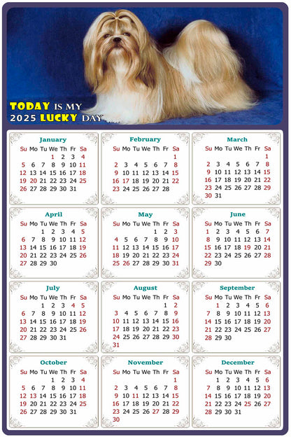 2025 Magnetic Calendar - Today is My Lucky Day (Fade, Tear, and Water Resistant)- Dogs Themed 07