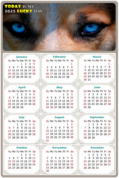 2025 Magnetic Calendar - Today is My Lucky Day (Fade, Tear, and Water Resistant)- Dogs Themed 03