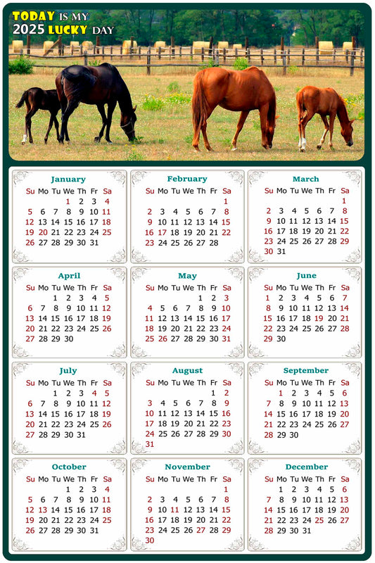 2025 Magnetic Calendar - Calendar Magnets - Today is my Lucky Day - (Fade, Tear, and Water Resistant) - Horses Themed 010