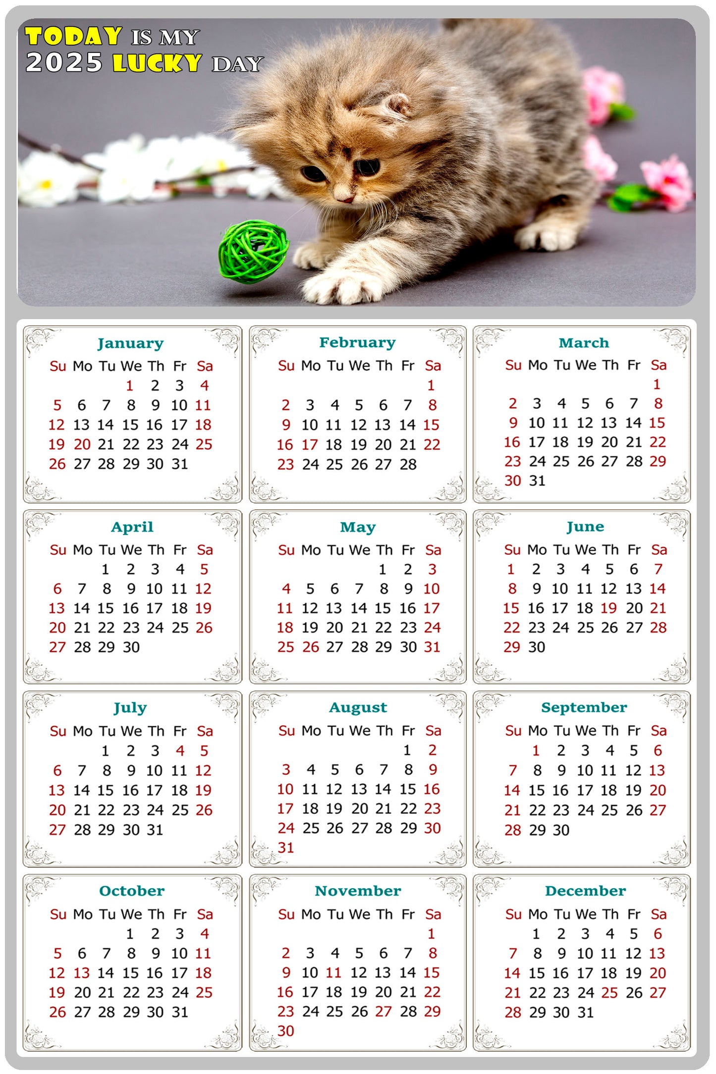 2025 Peel & Stick Calendar - Today is my Lucky Day Removable - Cat 017 (9"x 6")