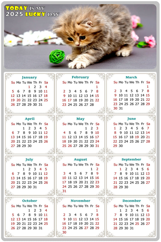 2025 Peel & Stick Calendar - Today is my Lucky Day Removable - Cat 017 (9"x 6")