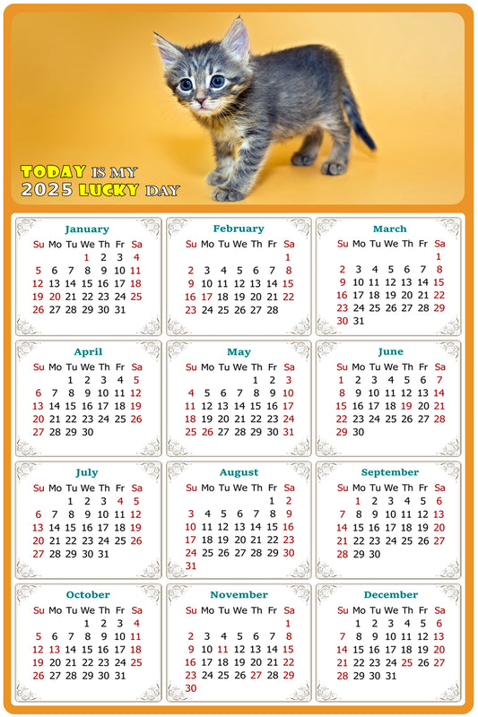 2025 Magnetic Calendar - Today is My Lucky Day (Fade, Tear, and Water Resistant)- Cat Themed 018