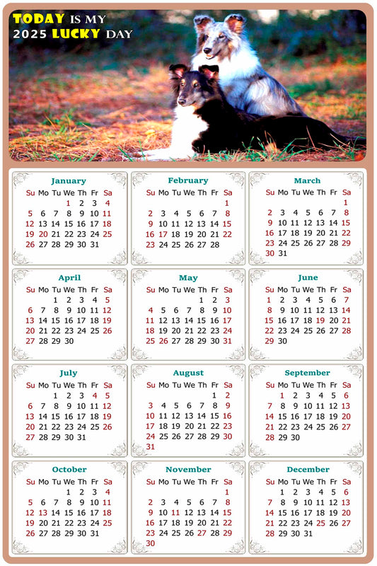 2025 Peel & Stick Calendar - Today is my Lucky Day Removable - Dogs 09 (12"x 8")