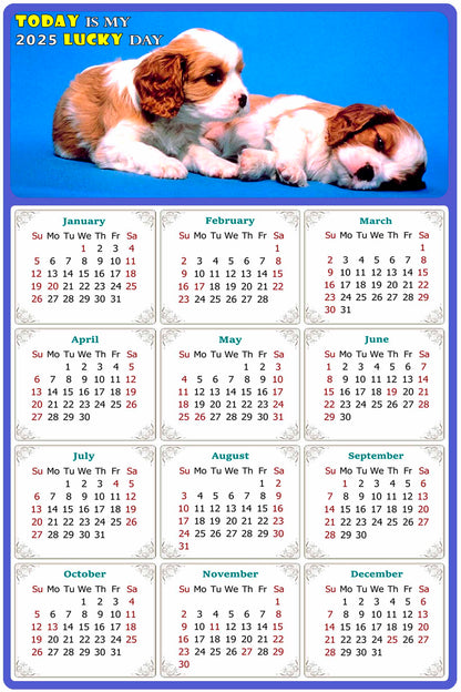 2025 Peel & Stick Calendar - Today is my Lucky Day Removable - Dogs 011 (9"x 6")