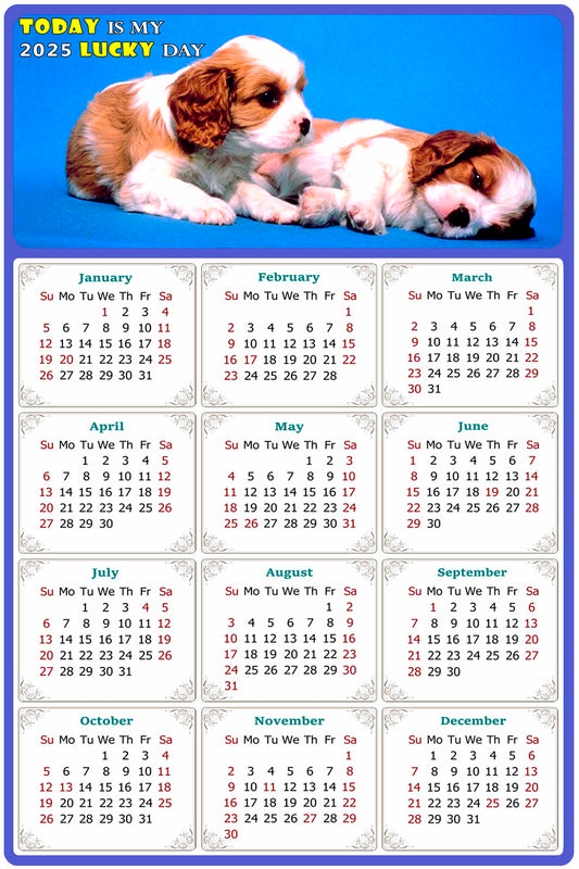 2025 Peel & Stick Calendar - Today is my Lucky Day Removable - Dogs 011 (9"x 6")