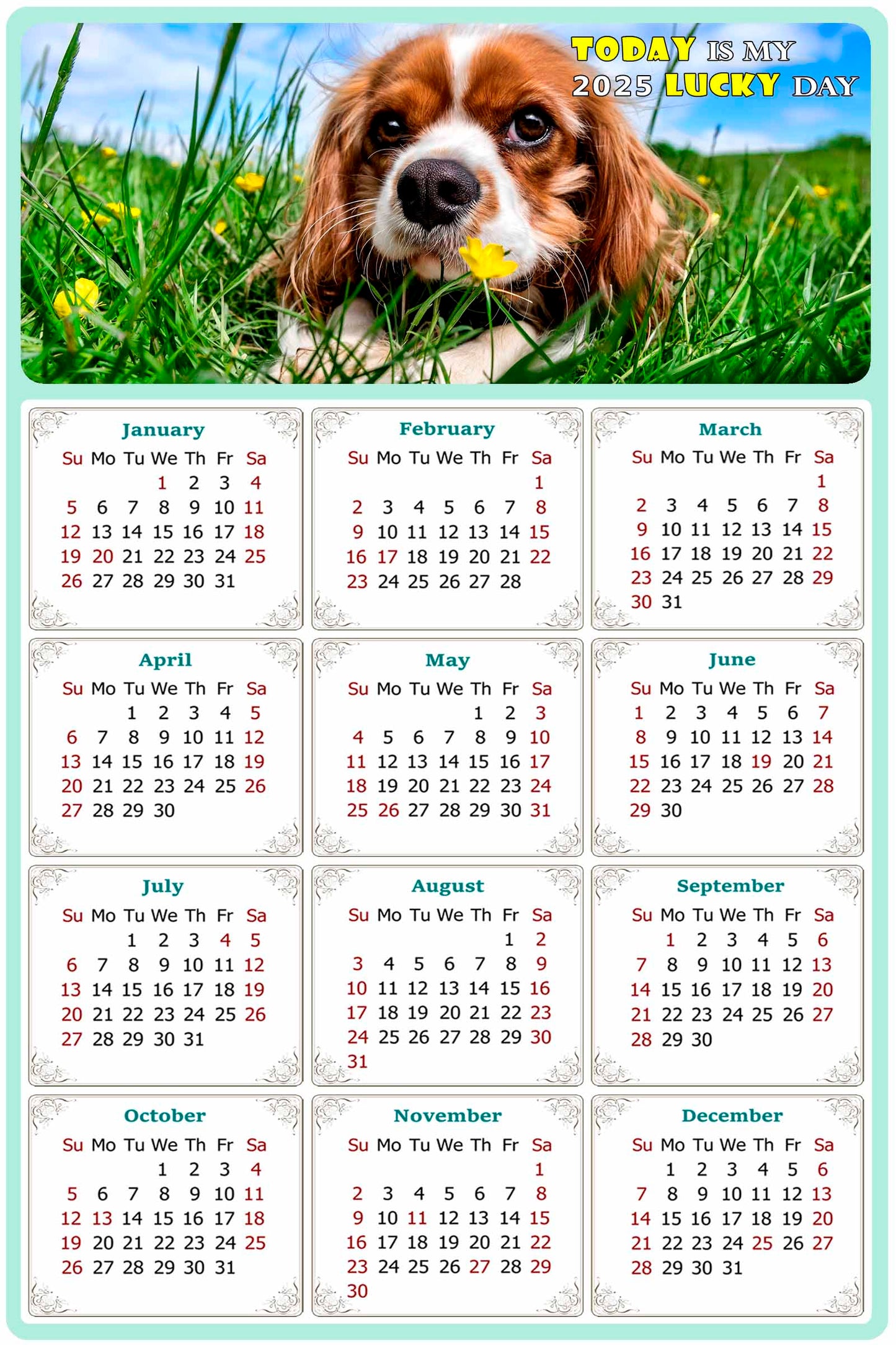 2025 Peel & Stick Calendar - Today is my Lucky Day Removable - Dogs 06 (9"x 6")