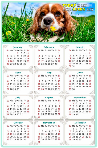 2025 Peel & Stick Calendar - Today is my Lucky Day Removable - Dogs 06 (9"x 6")