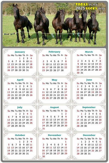 2025 Peel & Stick Calendar - Today is my Lucky Day Removable - Horses 06 (12"x 8")