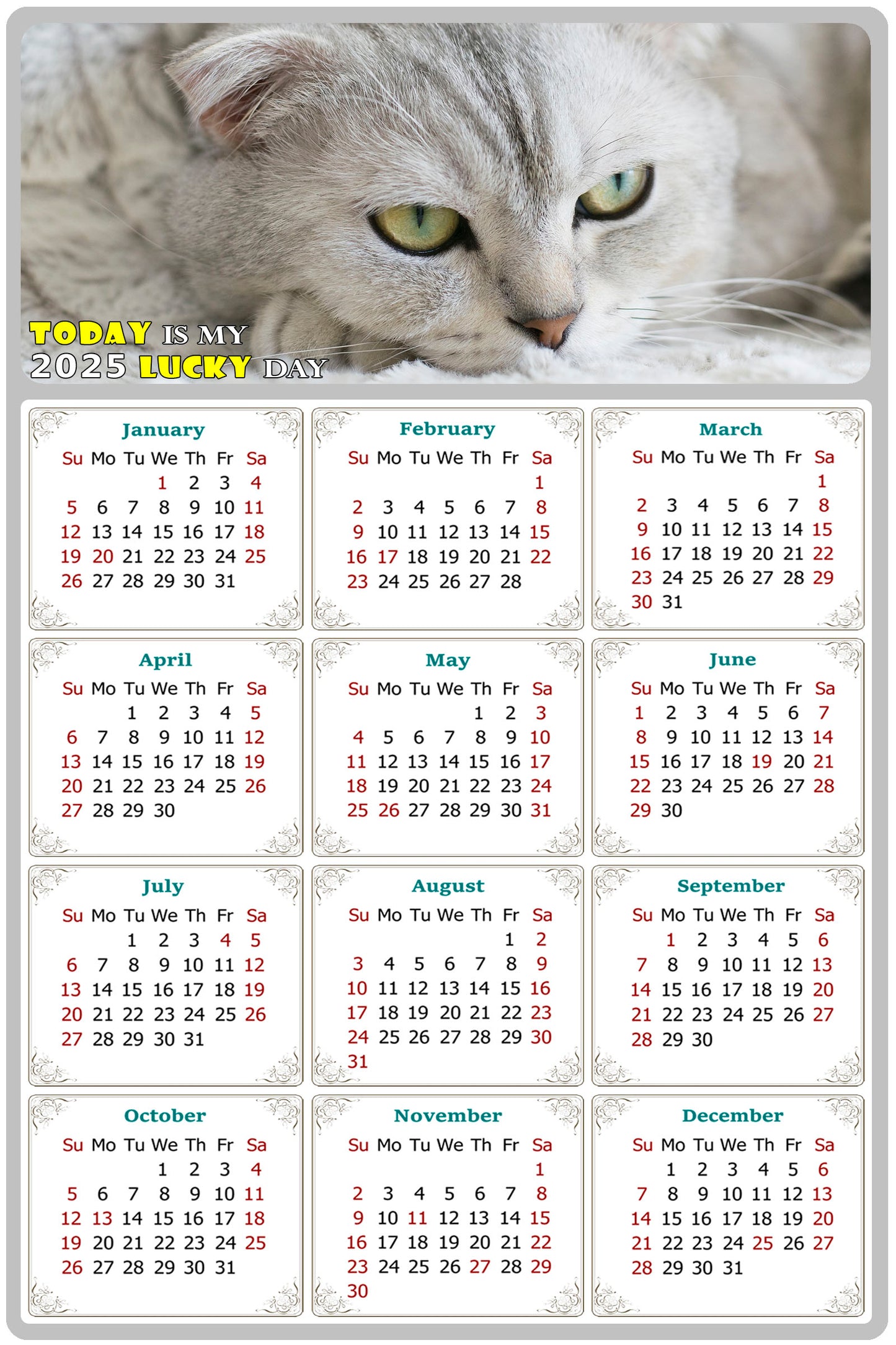 2025 Peel & Stick Calendar - Today is my Lucky Day Removable - Cat 01 (12"x 8")