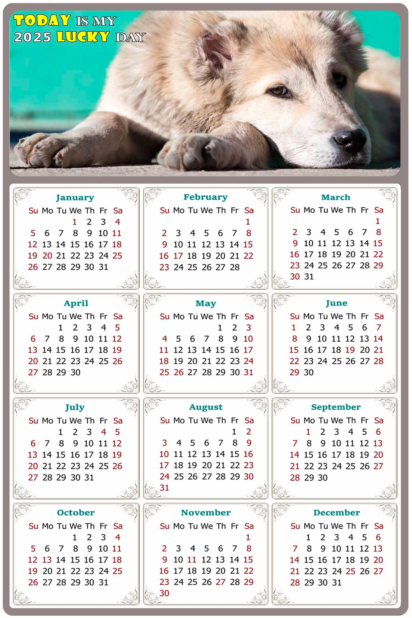 2025 Peel & Stick Calendar - Today is my Lucky Day Removable - Dogs 015 (9"x 6")