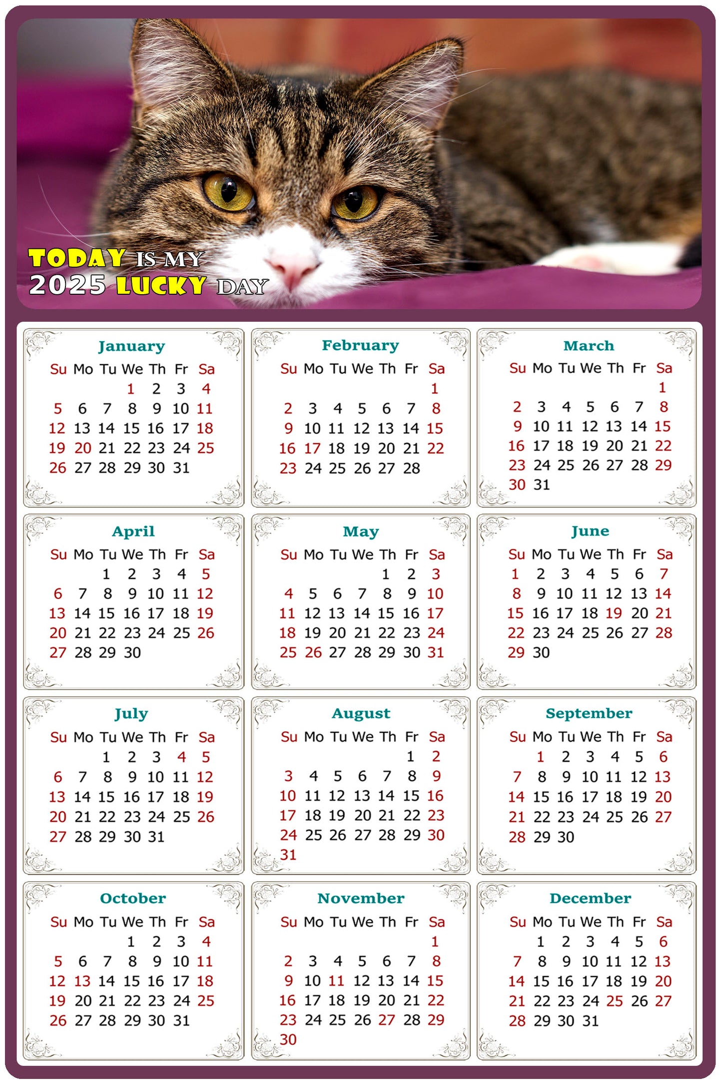 2025 Peel & Stick Calendar - Today is my Lucky Day Removable - Cat 022 (9"x 6")