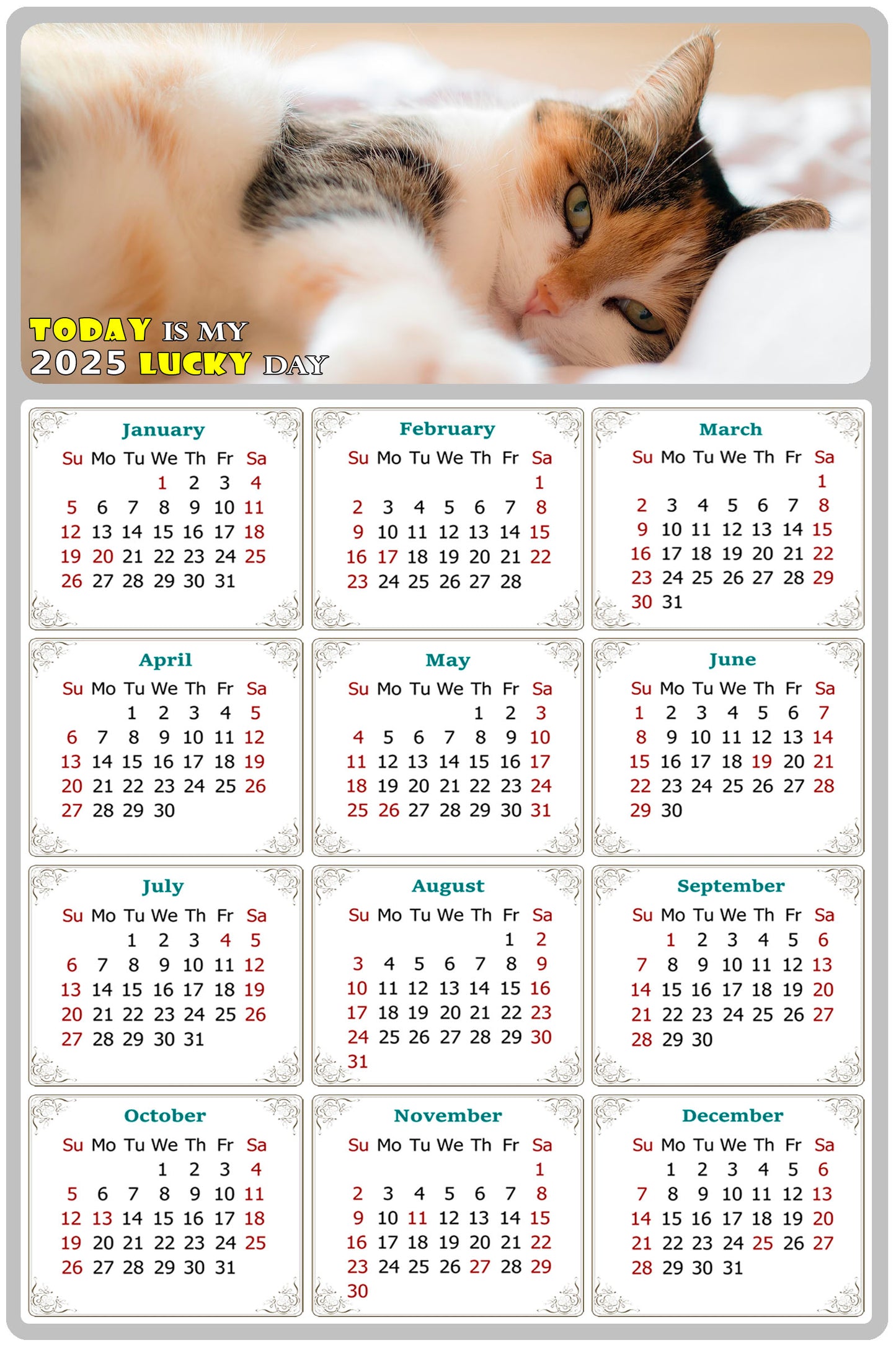 2025 Peel & Stick Calendar - Today is my Lucky Day Removable - Cat 04 (9"x 6")