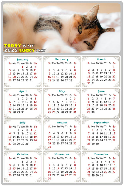 2025 Peel & Stick Calendar - Today is my Lucky Day Removable - Cat 04 (9"x 6")