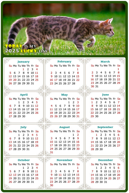 2025 Magnetic Calendar - Today is My Lucky Day (Fade, Tear, and Water Resistant)- Cat Themed 09