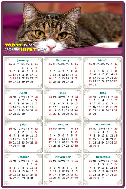 2025 Peel & Stick Calendar - Today is my Lucky Day Removable - Cat 022 (12"x 8")