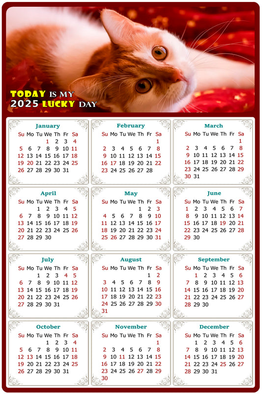 2025 Magnetic Calendar - Today is My Lucky Day (Fade, Tear, and Water Resistant)- Cat Themed 07