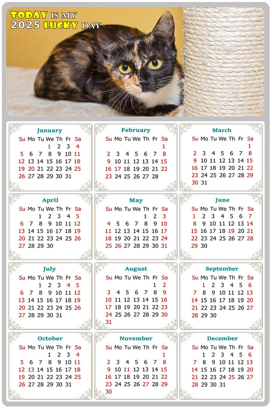 2025 Peel & Stick Calendar - Today is my Lucky Day Removable - Cat 024 (12"x 8")