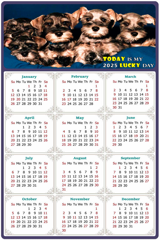 2025 Peel & Stick Calendar - Today is my Lucky Day Removable - Dogs 08 (9"x 6")