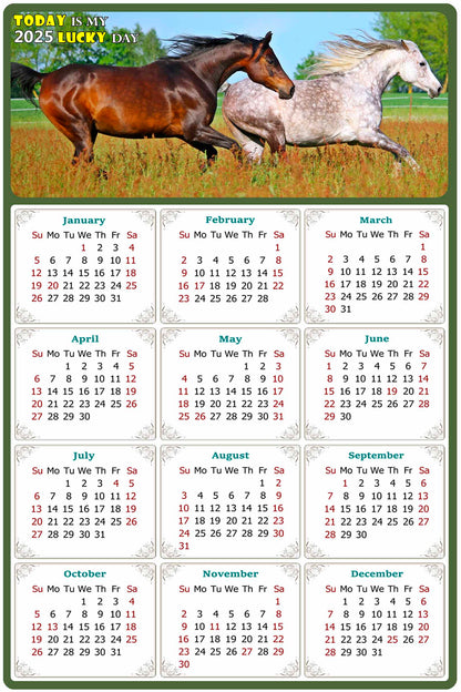 2025 Magnetic Calendar - Calendar Magnets - Today is my Lucky Day - (Fade, Tear, and Water Resistant) - Horses Themed 03