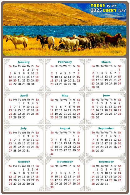 2025 Magnetic Calendar - Calendar Magnets - Today is my Lucky Day - (Fade, Tear, and Water Resistant) - Horses Themed 012