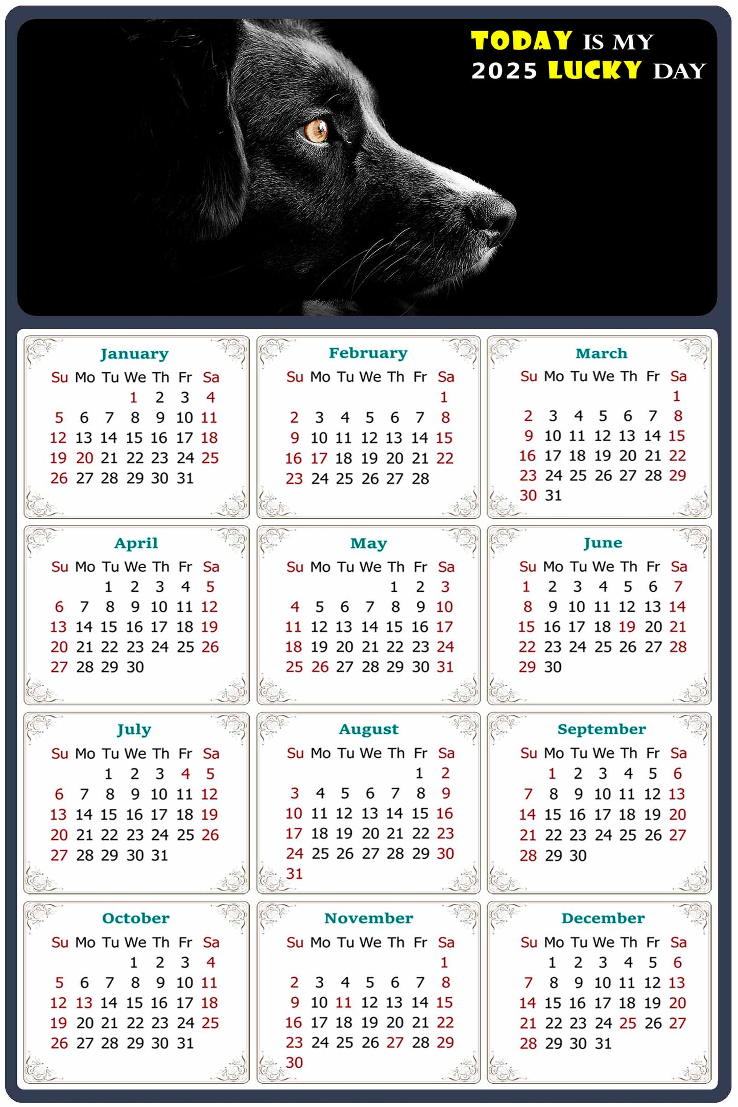 2025 Peel & Stick Calendar - Today is my Lucky Day Removable - Dogs 05 (12"x 8")