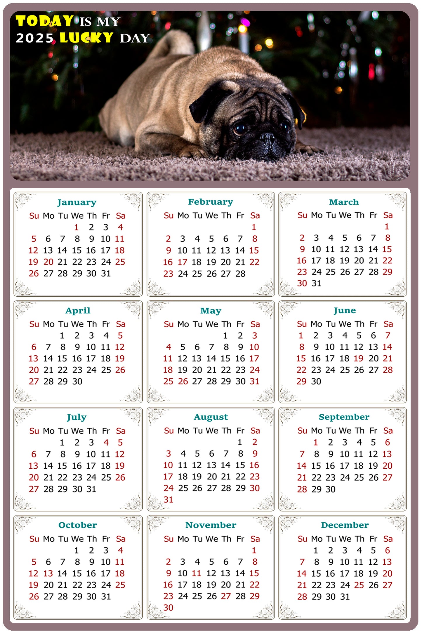 2025 Peel & Stick Calendar - Today is my Lucky Day Removable - Dogs 02 (9"x 6")