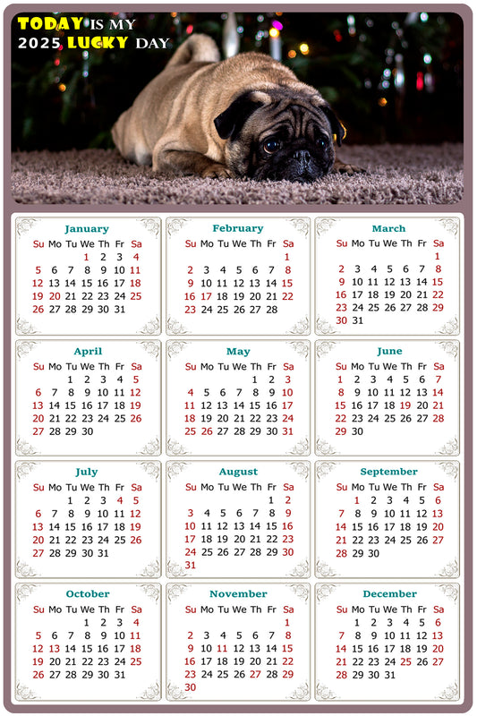 2025 Peel & Stick Calendar - Today is my Lucky Day Removable - Dogs 02 (9"x 6")