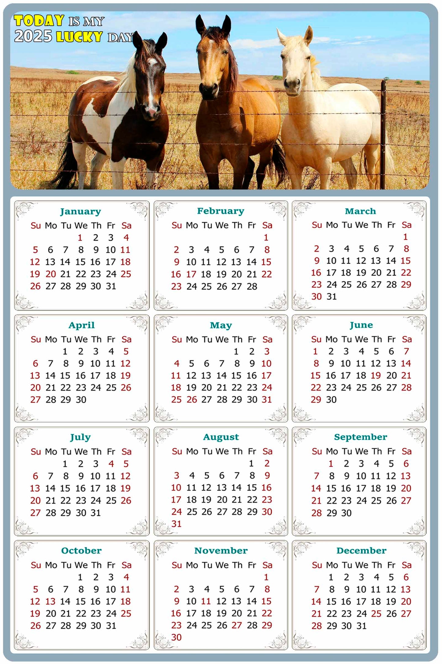 2025 Peel & Stick Calendar - Today is my Lucky Day Removable - Horses 07 (12"x 8")