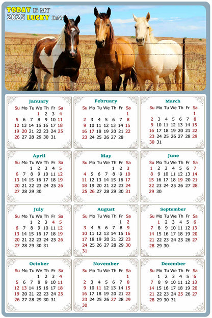 2025 Peel & Stick Calendar - Today is my Lucky Day Removable - Horses 07 (12"x 8")