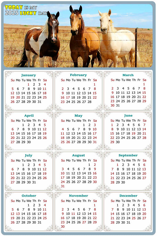 2025 Peel & Stick Calendar - Today is my Lucky Day Removable - Horses 07 (12"x 8")