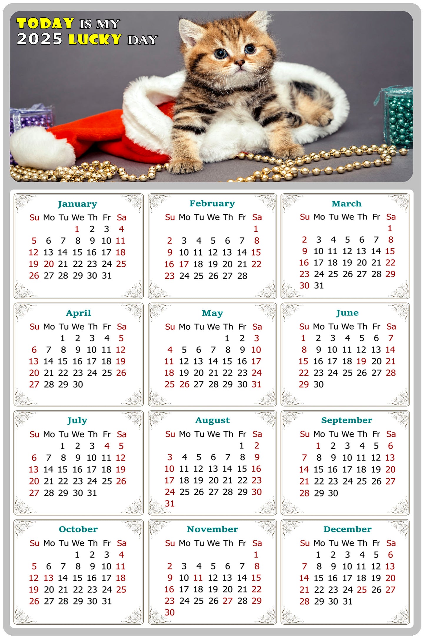 2025 Peel & Stick Calendar - Today is my Lucky Day Removable - Cat 023 (9"x 6")