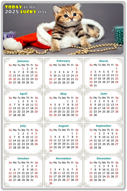 2025 Peel & Stick Calendar - Today is my Lucky Day Removable - Cat 023 (9"x 6")