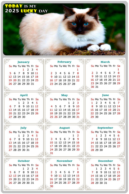 2025 Magnetic Calendar - Today is My Lucky Day (Fade, Tear, and Water Resistant)- Cat Themed 02