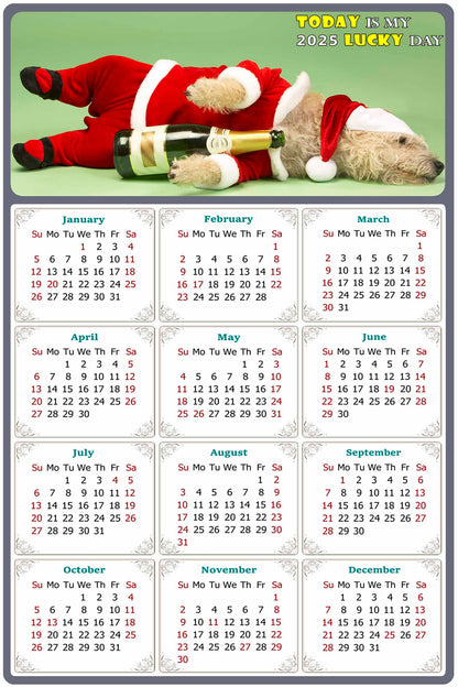 2025 Peel & Stick Calendar - Today is my Lucky Day Removable - Dogs 014 (12"x 8")