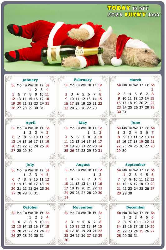 2025 Peel & Stick Calendar - Today is my Lucky Day Removable - Dogs 014 (12"x 8")