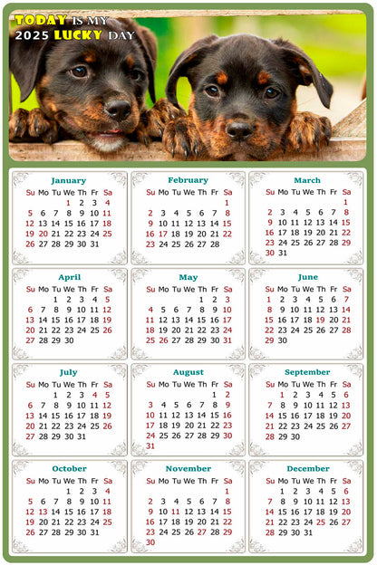 2025 Peel & Stick Calendar - Today is my Lucky Day Removable - Dogs 04 (9"x 6")