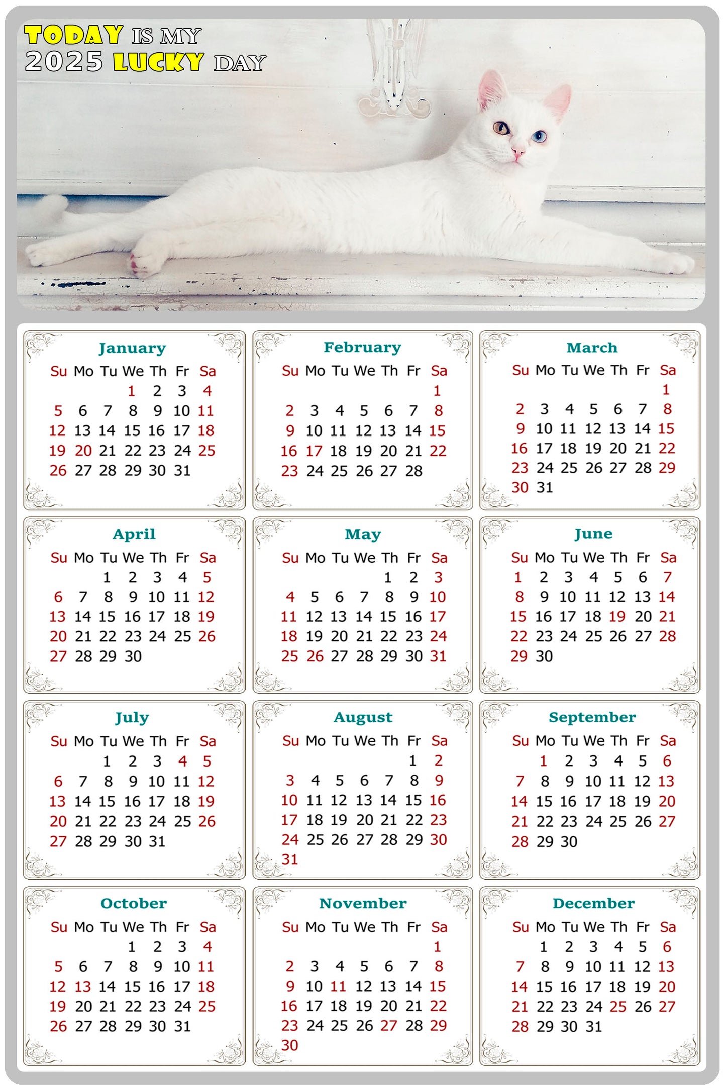 2025 Magnetic Calendar - Today is My Lucky Day (Fade, Tear, and Water Resistant)- Cat Themed 06