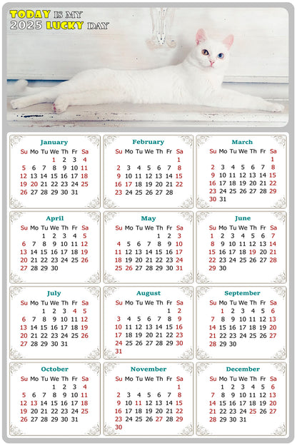 2025 Magnetic Calendar - Today is My Lucky Day (Fade, Tear, and Water Resistant)- Cat Themed 06