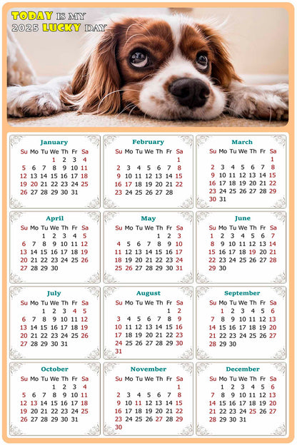 2025 Peel & Stick Calendar - Today is my Lucky Day Removable - Dogs 01 (9"x 6")