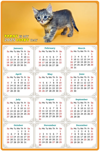 2025 Peel & Stick Calendar - Today is my Lucky Day Removable - Cat 018 (12"x 8")