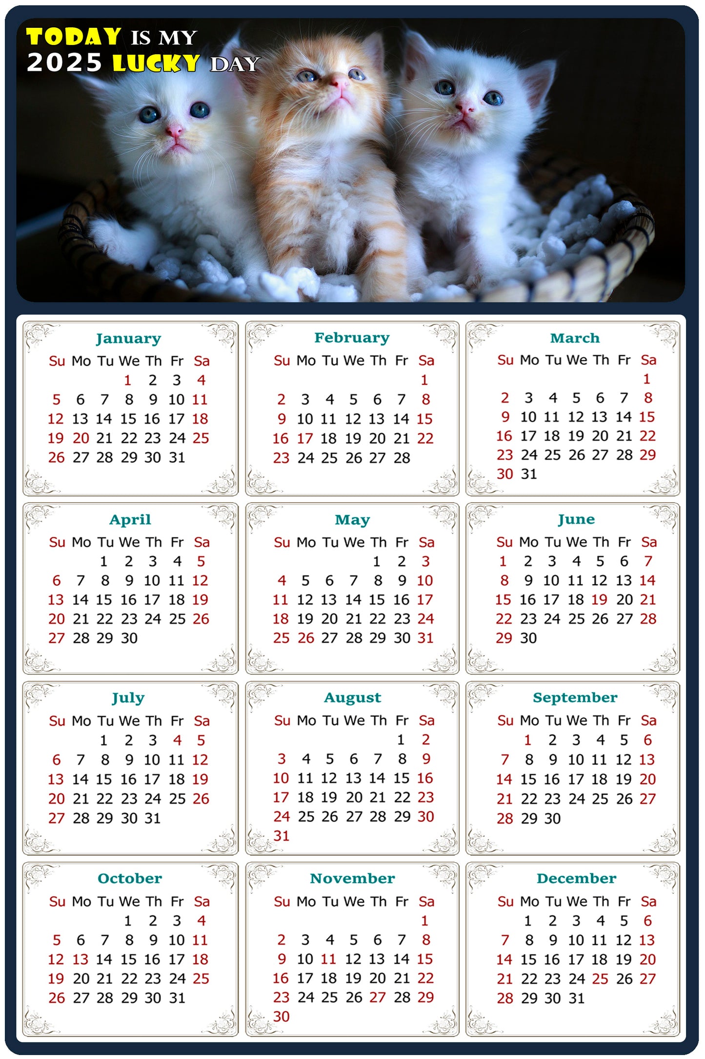 2025 Magnetic Calendar - Today is My Lucky Day (Fade, Tear, and Water Resistant)- Cat Themed 011