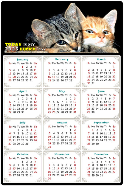 2025 Magnetic Calendar - Today is My Lucky Day (Fade, Tear, and Water Resistant)- Cat Themed 010