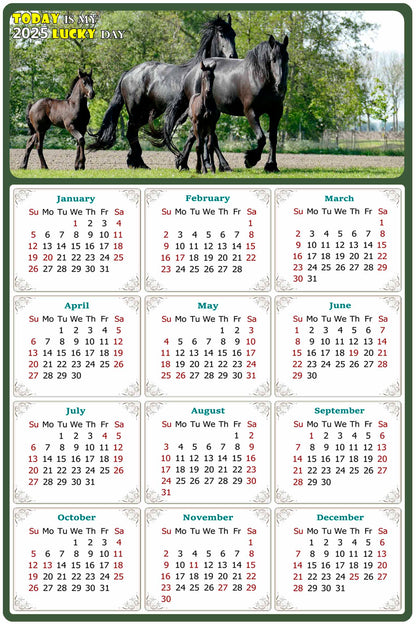 2025 Peel & Stick Calendar - Today is my Lucky Day Removable - Horses 05 (9"x 6")