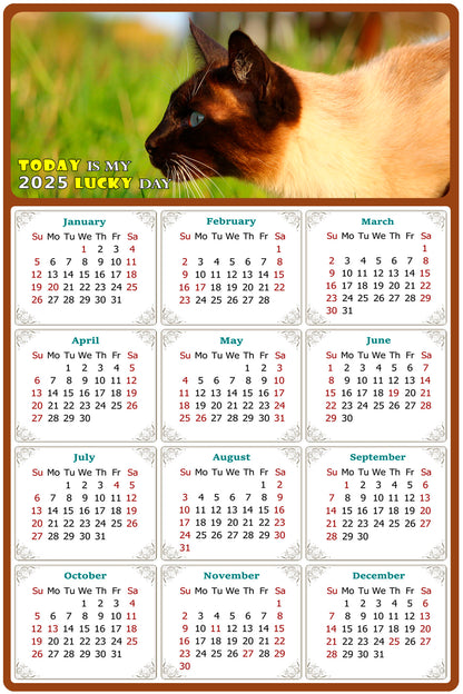 2025 Peel & Stick Calendar - Today is my Lucky Day Removable - Cat 03 (9"x 6")