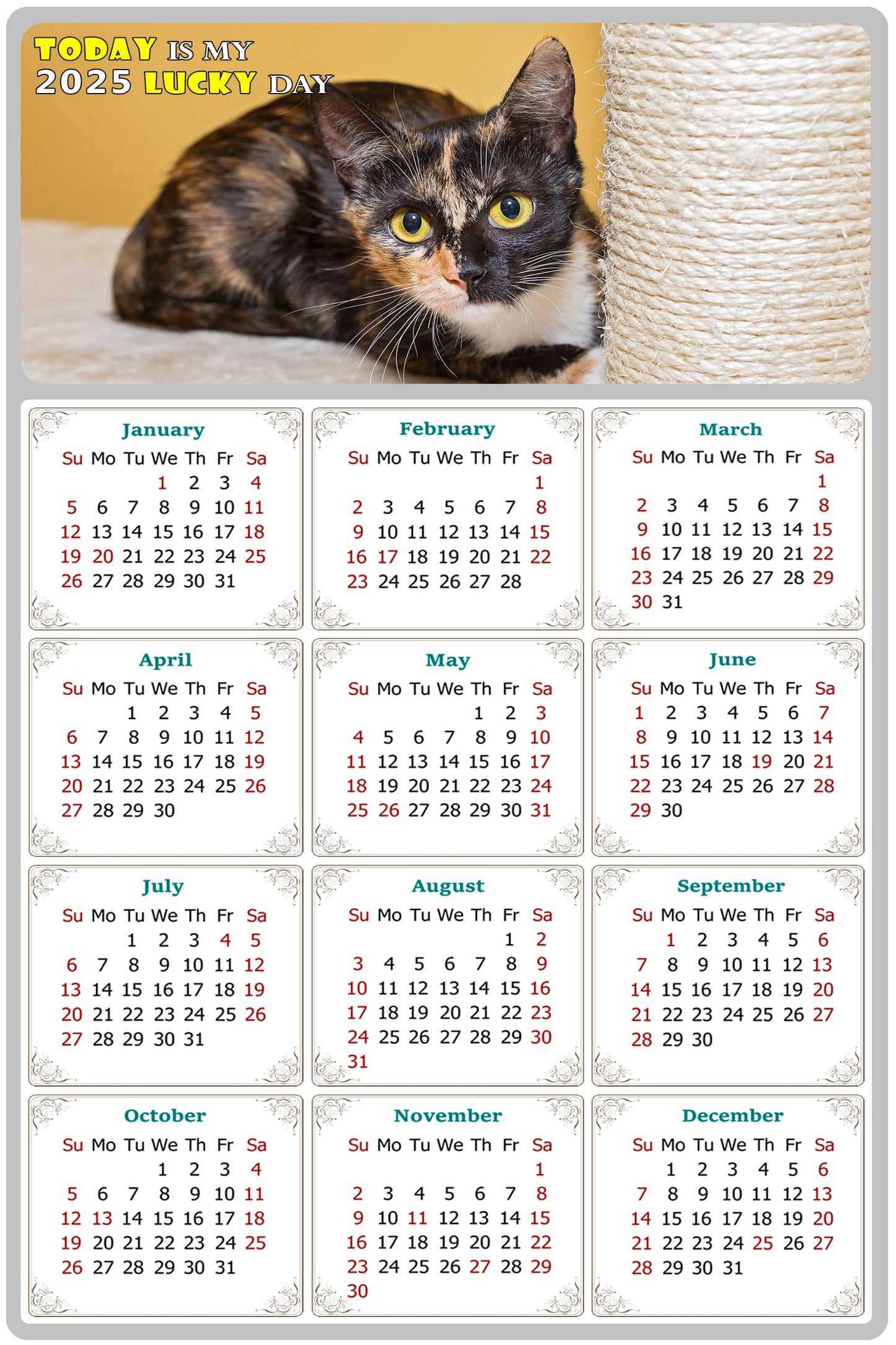 2025 Peel & Stick Calendar - Today is my Lucky Day Removable - Cat 024 (9"x 6")