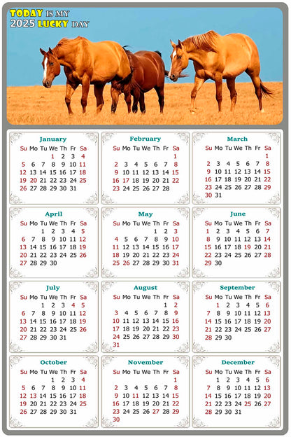 2025 Magnetic Calendar - Calendar Magnets - Today is my Lucky Day - (Fade, Tear, and Water Resistant) - Horses Themed 017