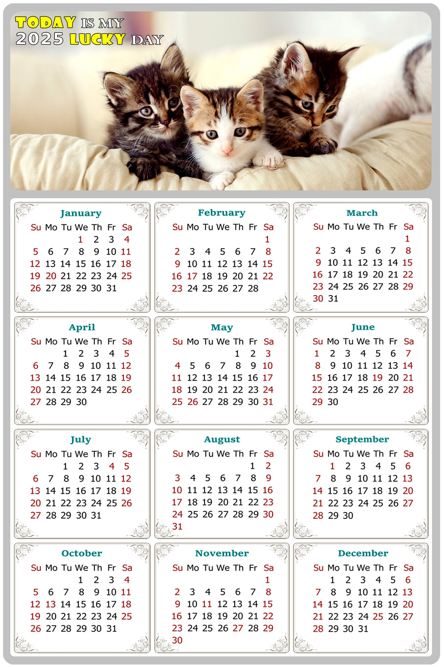 2025 Peel & Stick Calendar - Today is my Lucky Day Removable - Cat 021 (12"x 8")