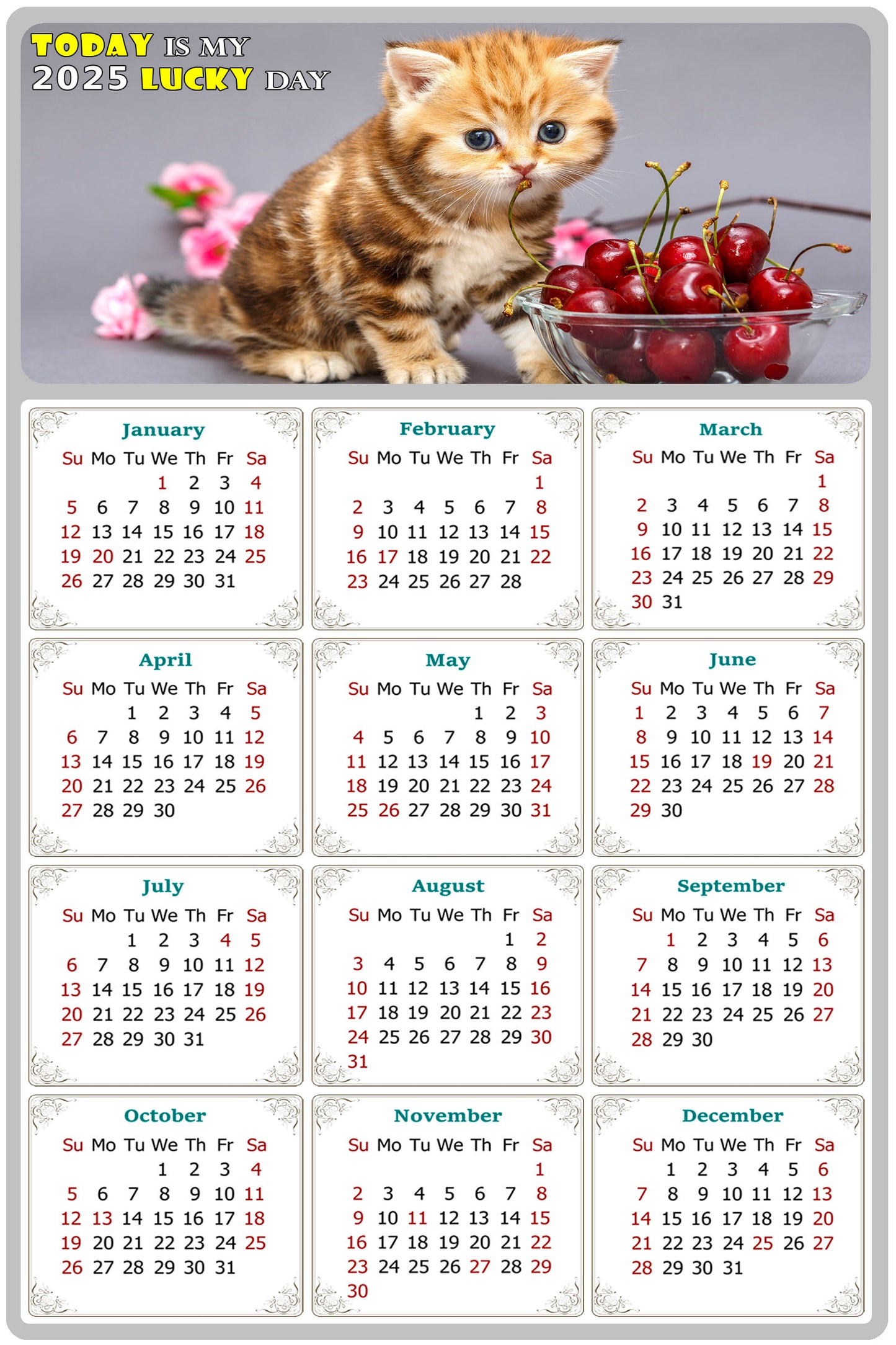 2025 Magnetic Calendar - Today is My Lucky Day (Fade, Tear, and Water Resistant)- Cat Themed 016