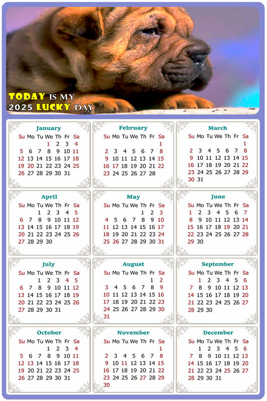 2025 Peel & Stick Calendar - Today is my Lucky Day Removable - Dogs 012 (12"x 8")